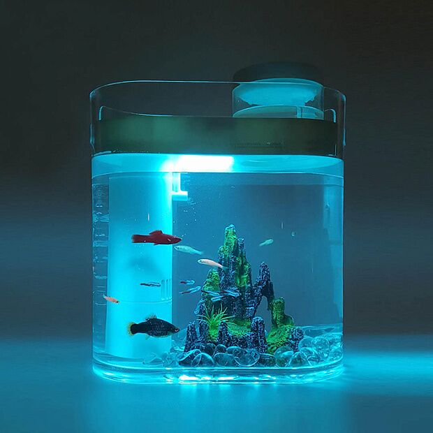Акваферма с увлажнителем Geometry Lucky amphibious fish tank YOUTH (Pink) - 5